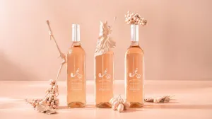 Babylonstoren Rose Taylors Wines