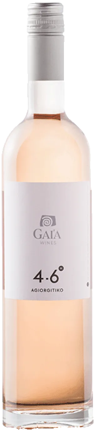 Gaia Rosé 4-6H