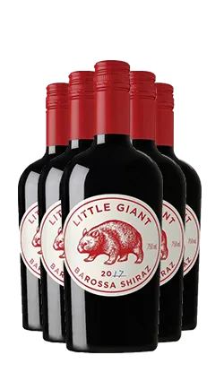 Little Giant Shiraz SIX PACK 2022 750ml