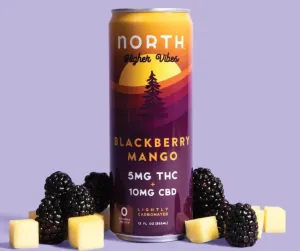 NA THC Cocktail North Higher Vibes 4pk Blackberry Mango Point Wine Spirits
