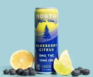NA THC Cocktail North Higher Vibes 4pk Blueberry Citrus Point Wine Spirits