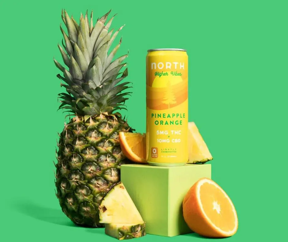 NA THC Cocktail North Higher Vibes 4pk Pineapple Orange Point Wine Spirits