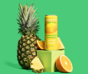 NA THC Cocktail North Higher Vibes 4pk Pineapple Orange Point Wine Spirits