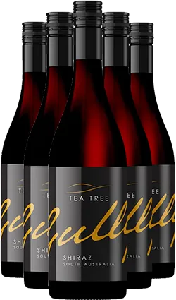Tea Tree Gully Shiraz 12 PACK 2023 750ml