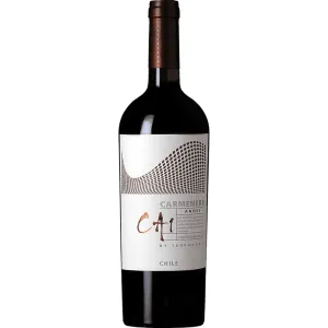 TerraNoble Carmenere ANDES CA1 2021