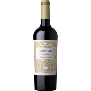 TerraNoble Reserva Especial Carmenere 2022