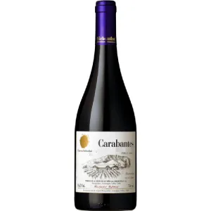 Viña von Siebenthal Carabantes 2021